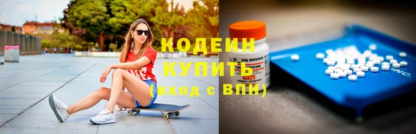 ECSTASY Ельня