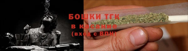 ECSTASY Ельня