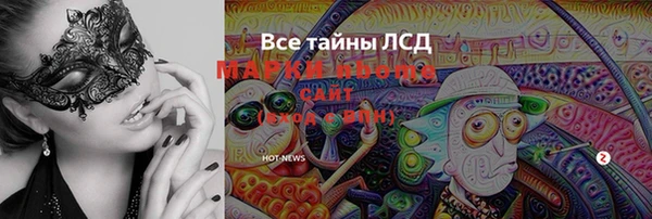 ECSTASY Ельня