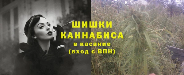 ECSTASY Ельня